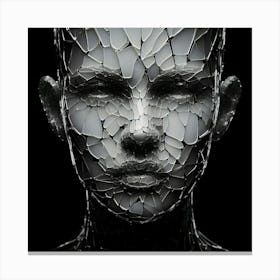 Shattered Face Canvas Print