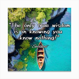 Only True Wisdom Is In Knowing You Know Nothing Canvas Print