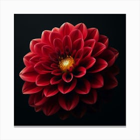 Dahlia Flower Canvas Print