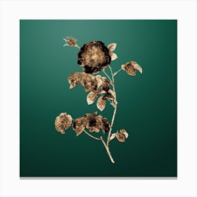 Gold Botanical Rose on Dark Spring Green n.0734 Canvas Print
