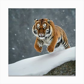 Tiger In Snow Canvas Print