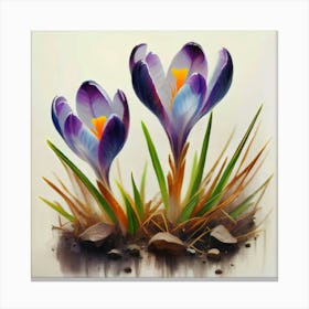 Crocuses Canvas Print