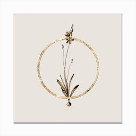 Gold Ring Mossel Bay Tritonia Glitter Botanical Illustration n.0350 Canvas Print
