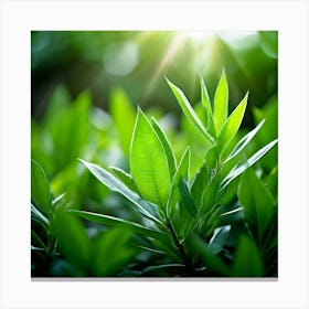 Ecology Plant Green Nature Garden Flora Fresh Leaf Summer Natural Environment Spring Gra (5) Canvas Print