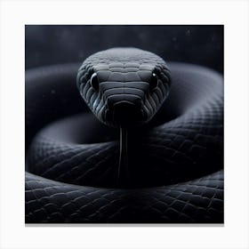 Black Snake Canvas Print