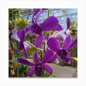 Purple Orchids Canvas Print