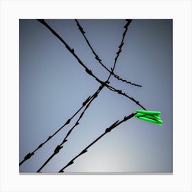 Barbed Wire9 Canvas Print