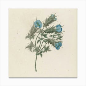 Blue Flower Canvas Print