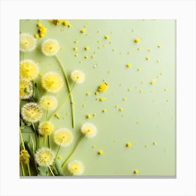 Dandelion 39 Canvas Print