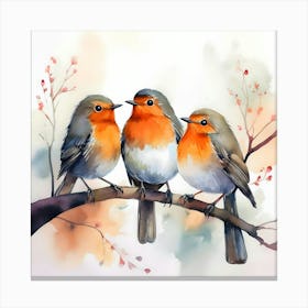 Three Robins 1 Canvas Print