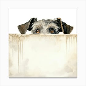 Standard Schnauzer Dog 4 Canvas Print