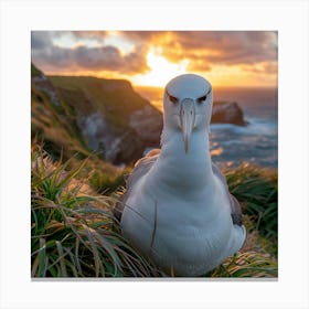 Bird At Sunset Canvas Print