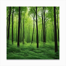 Green Forest Photo Canvas Print