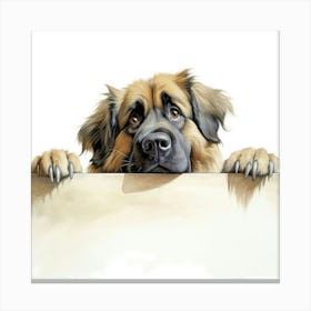 German Shepherd Dog 11 Canvas Print