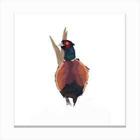 Snowy Pheasant Canvas Print