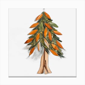 Pine Tree II Canvas Print