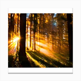 Sunrise In The Forest Canvas Print