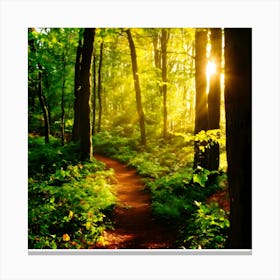 Path In The Woods 1 Canvas Print