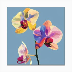 Orchids 11 Canvas Print