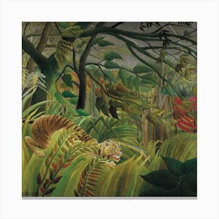 Surprised, Henri Rousseau Canvas Print