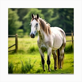 Horse Ranch Pony Animal Farm Nature Pet Farm Animal Summer Grass Head Mammal Green Mare (4) Canvas Print