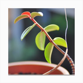 Realistic Plant Canvas Print