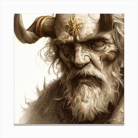 Viking 9 Canvas Print