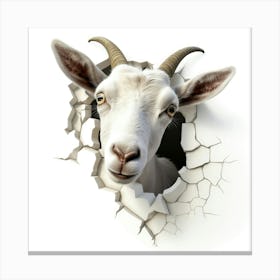 Goat In A Hole 2 Canvas Print