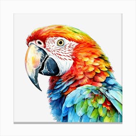 Colorful Parrot 24 Toile