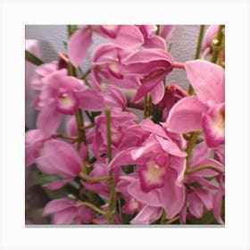 Pink Orchids 2 Canvas Print