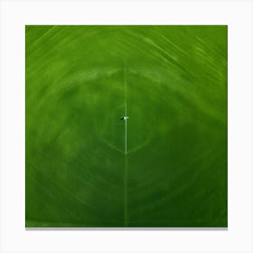 Lawn Green Grass Line Drone Person Surface Field Descending Adult Day Greenery Sharpened (7) Canvas Print