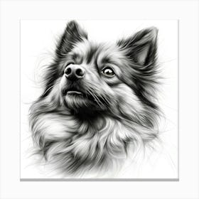 Keeshond Canvas Print