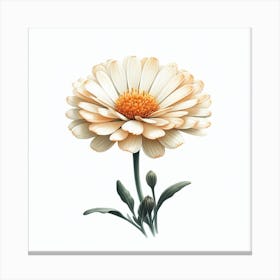 Flower of African marigold 3 Canvas Print