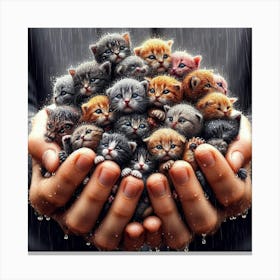 Kittens In The Rain 12 Canvas Print