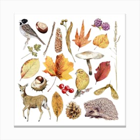 Autumn Nature Brown Square Canvas Print