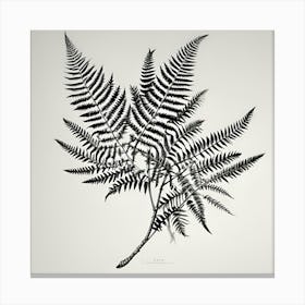 Fern Leaf Print Canvas Print