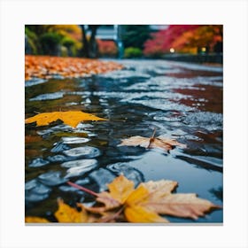 Autumn Leaves In A Puddle Canvas Print