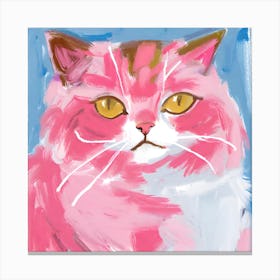 Persian Cat 04 Canvas Print