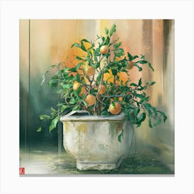 Oranges In A Pot 14 Canvas Print