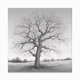 Bare Tree 6 Canvas Print