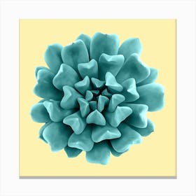 Cyan Succulent Plant on Yellow Canvas Print