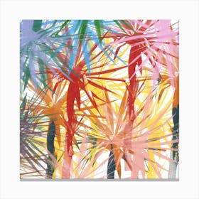 Palm Trees Canvas Print