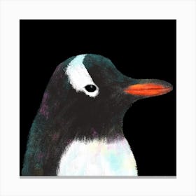 Gentoo Penguin Square Canvas Print
