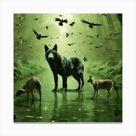 Wolf Stock Videos & Royalty-Free Footage Canvas Print