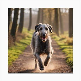 Irish Wolfhound Running In The Woods Canvas Print