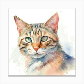 Sokoke Cat Portrait 3 Canvas Print