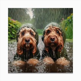 Two Dogs In The Rain Canvas Print