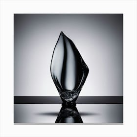 Black Glass Vase Canvas Print