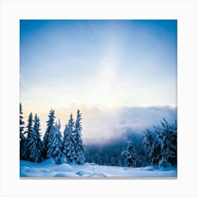 Abstract Landscape Showcasing The Battle Between Winters Chill And The New Years Promise Sun Rays (2) Canvas Print