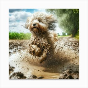 Dog Running In Mud 2 Canvas Print